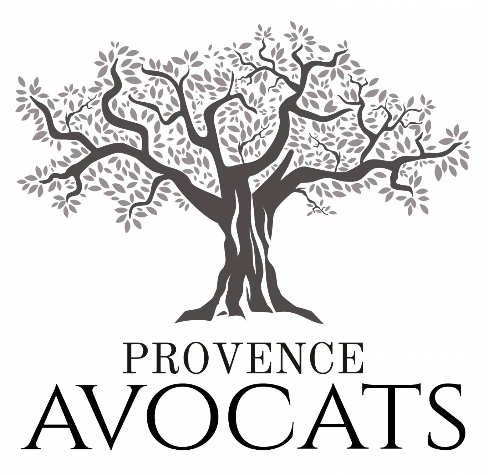 avocat fonds de commerce Marseille
