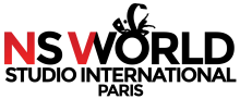 Formation professionnelle en chant pour les futurs talents de la musique Paris en  Ile de France NS World Studio International